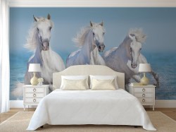 Fotobehang met paarden in de zee op maat gemaakt